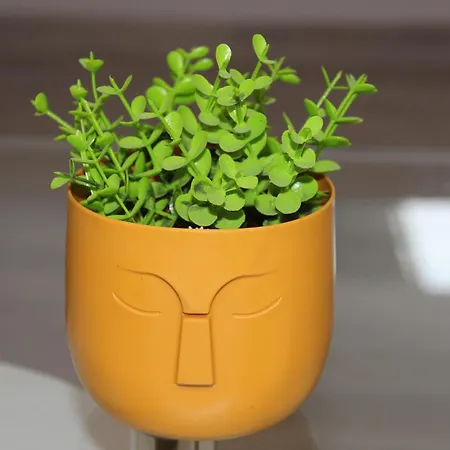 Appartement Greece Patras