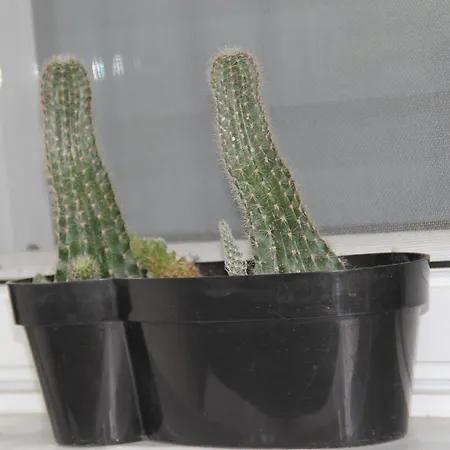 아파트 Greece 파트라