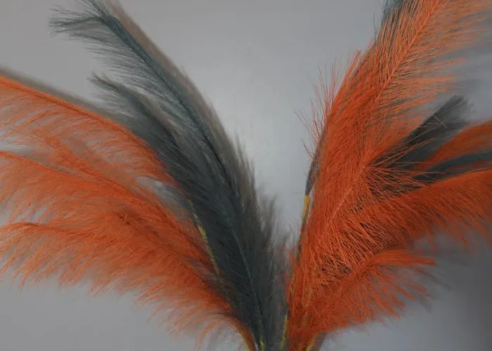 Greece 아파트 파트라